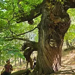 El Triskel De Chumbea, Excepcional Con Maravillosas Vistas A 5km De Béjar Appartement