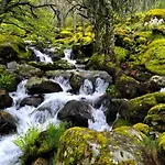 El Triskel De Chumbea, Excepcional Con Maravillosas Vistas A 5km De Bejar * Navalmoral de Bejar