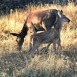 El Triskel De Chumbea, Excepcional Con Maravillosas Vistas A 5km De Bejar