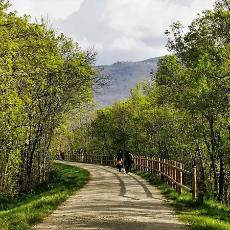 El Triskel De Chumbea- Confort Y Naturaleza En La Sierra De Bejar