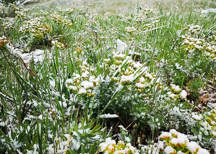 Apartment El Triskel De Chumbea, Excepcional Con Maravillosas Vistas A 5km De Bejar