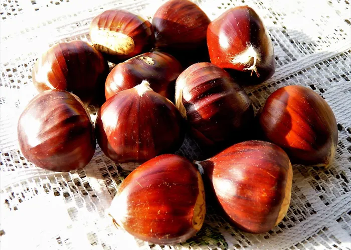 El Triskel De Chumbea, Excepcional Con Maravillosas Vistas A 5km De Bejar Apartment Navalmoral de Bejar
